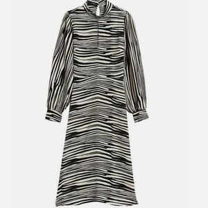 Banana Republic Zebra Print Long Sleeve Dress